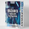 Brazilian EA MT5 logo