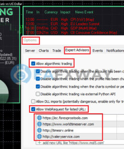 Evening Scalper Pro EA Source Code MQ4 Setting