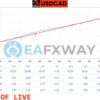 FXMachine EA MT4 Live Signals