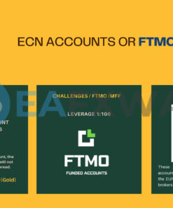 Forex SharkTank FTMO Challenge EA MT4 Review