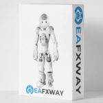 RFP VISION EA MT4 V1.0 with Setfiles