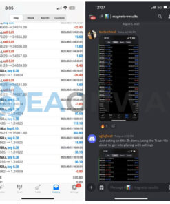 ROE Magneto EA MT4 Live Signal