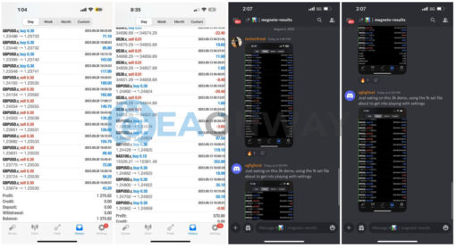ROE Magneto EA MT4 Live Signal
