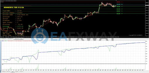 WINNER FX TSR Prop Firms EA MT4 Backtests