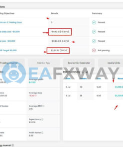 WINNER FX TSR Prop Firms EA MT4 Signal FTMO
