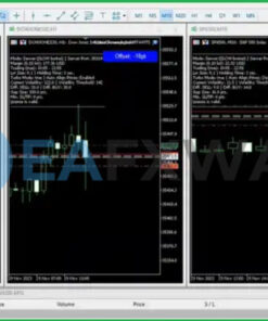 Arbiter Forex Arbitrage MT5 Review