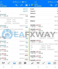 Bushra Gold Trading Robot MT4 Live Signal