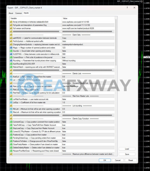 Exp COPYLOT MASTER AND COPYLOT CLIENT EA MT4 Inputs 1