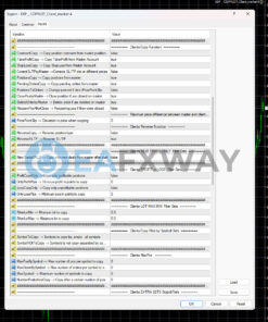 Exp COPYLOT MASTER AND COPYLOT CLIENT EA MT4 Inputs 2