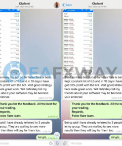 Forex Flare EA MT4 MT5 Review Signal