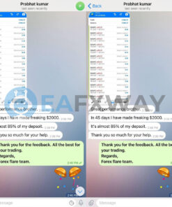 Forex Flare EA MT4 MT5 Signal