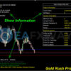 Gold Rush Pro EA MT4 Review