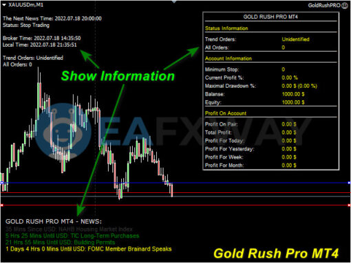 Gold Rush Pro EA MT4 Review