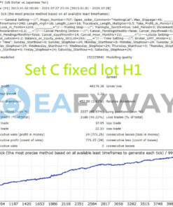 Hunting Cat Scalper EA MT4 Review Backtest