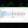 Top Bottom EA Source Code MQ4 Inputs