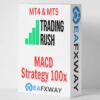 Trading Rush MACD Strategy 100x V2 EA Logo