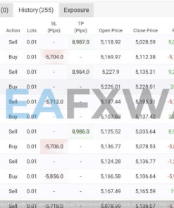 gold-oneshot-ea-mt5-analytics