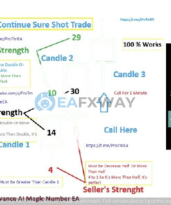 protm-advance-ai-magic-number-mt5-trading