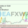 gann-gold-ea-mt4-trading-results