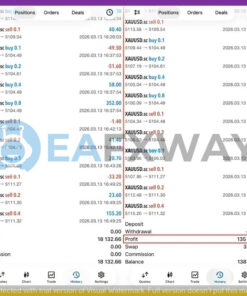 yuvi-fx-trader-ea-mt5-backtest